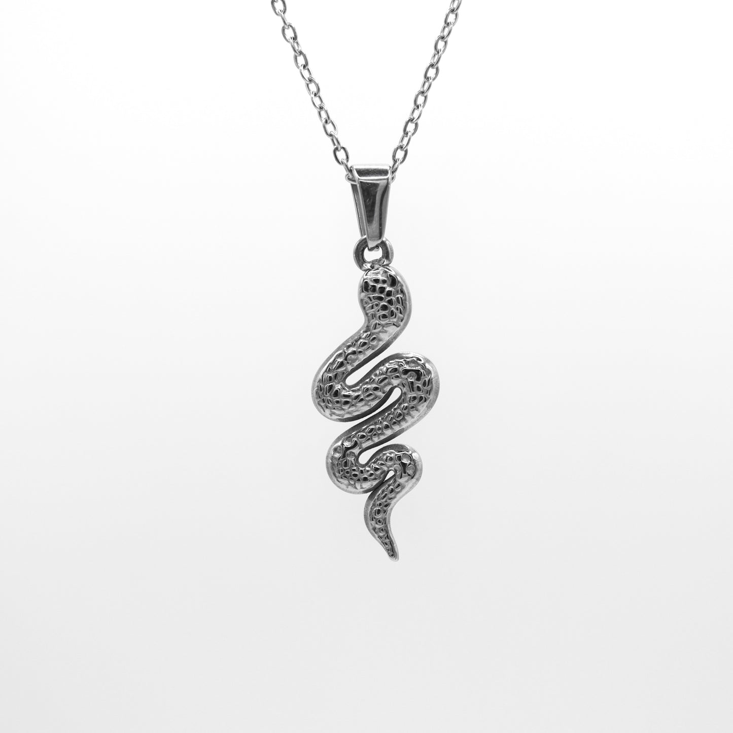Colgante Naga Plata