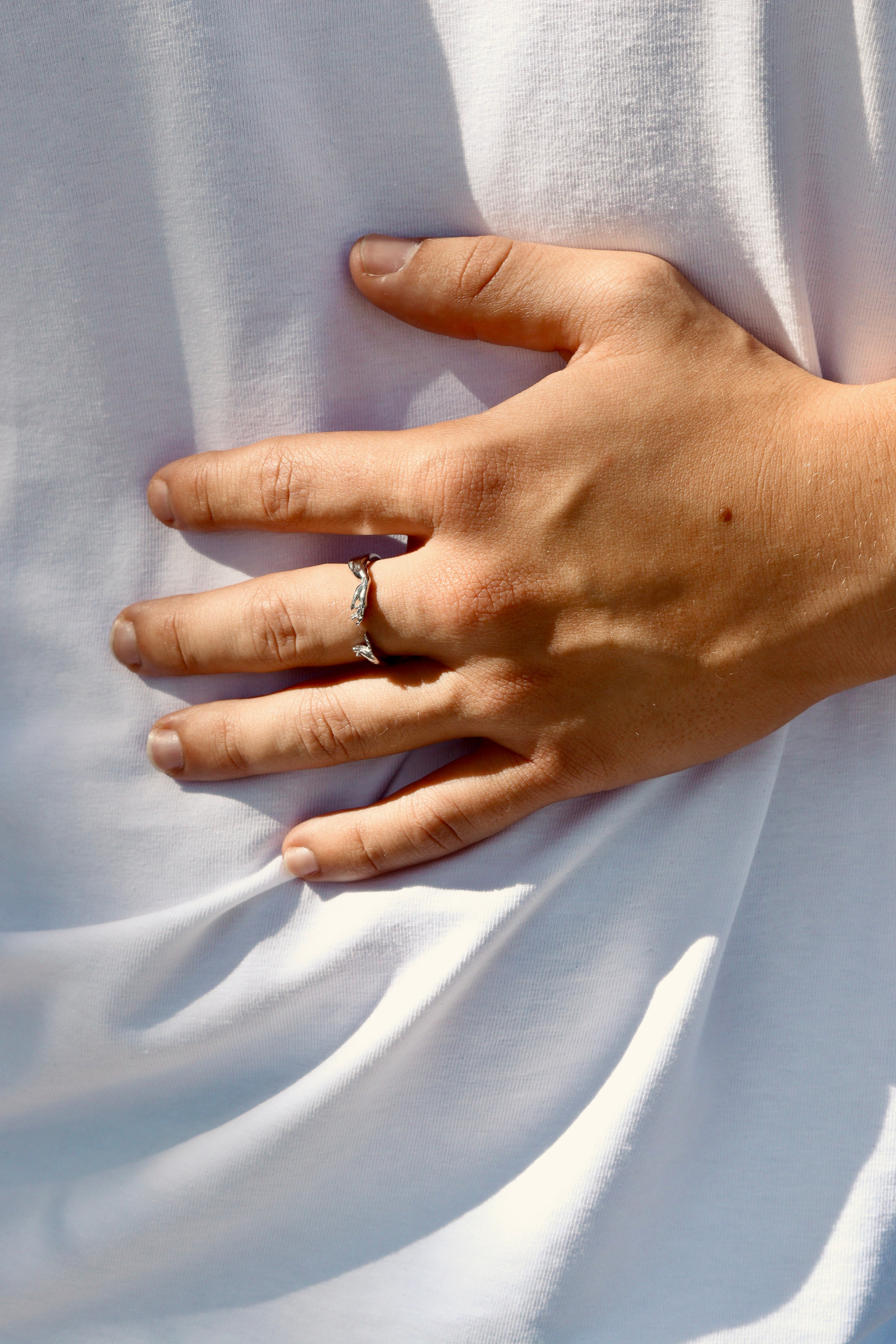 Anillo The Creation Plata