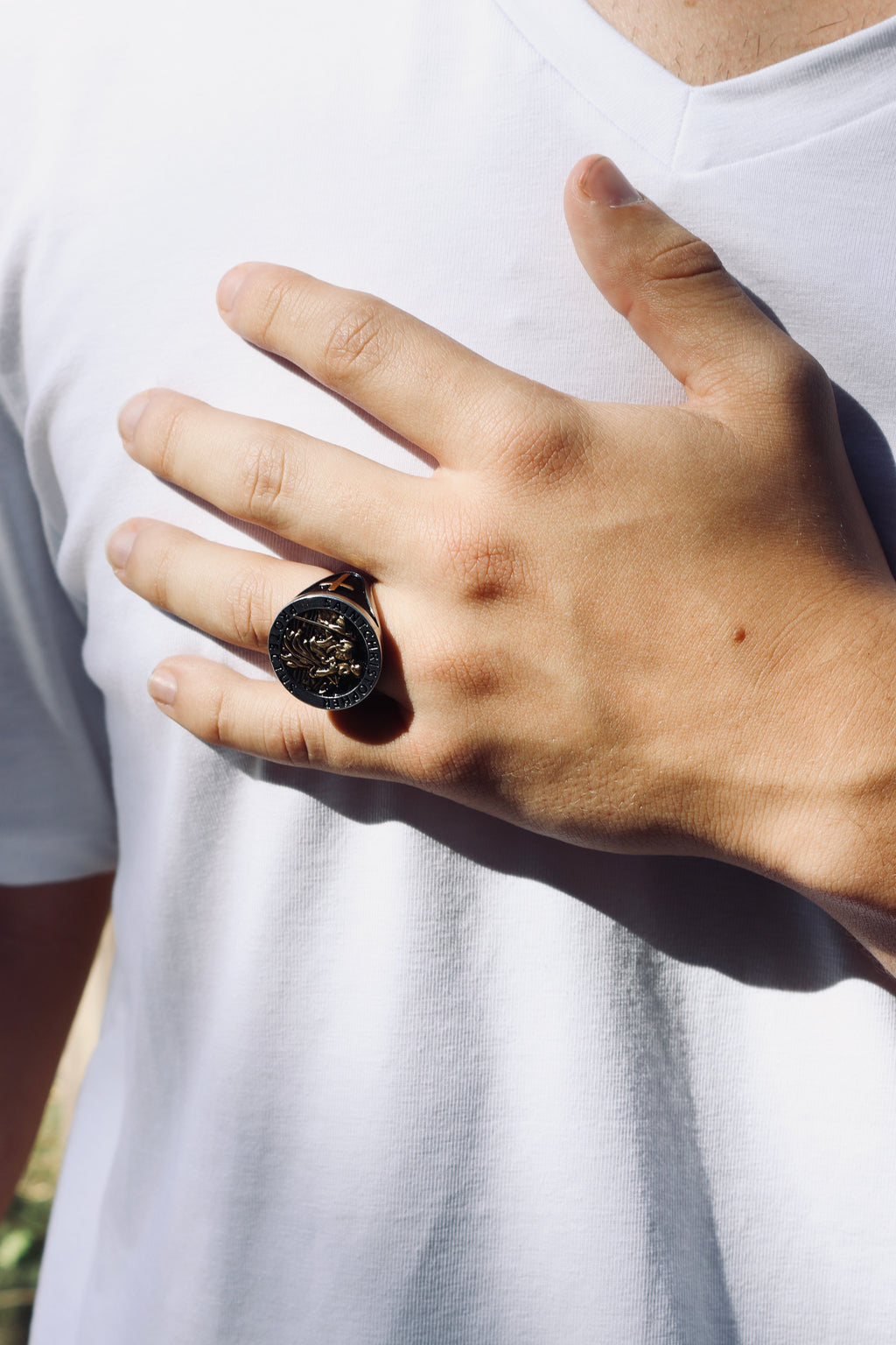 Anillo Protectus Plata